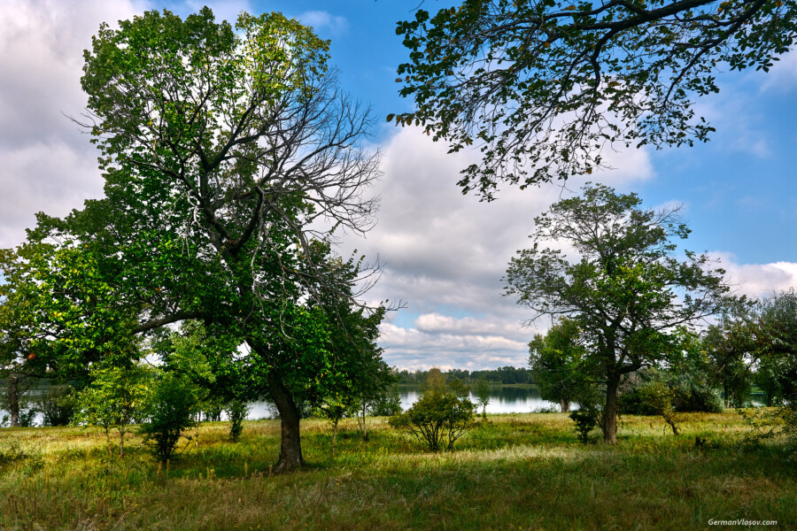 Поволжье. У озера Поволжье. У озера